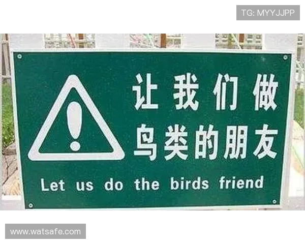 台湾翻译足球明星名字的趣味与挑战探讨