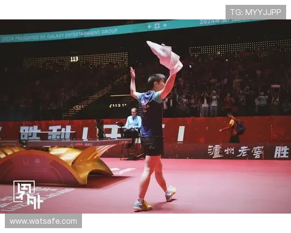 深圳乒乓球队奋勇拼搏的奥运之路与辉煌成就回顾